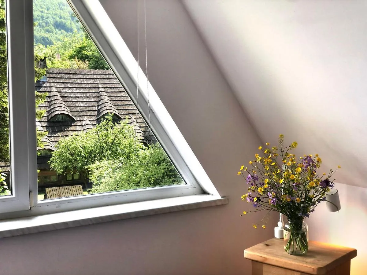 Ozwa Sky Apartment Zakopane